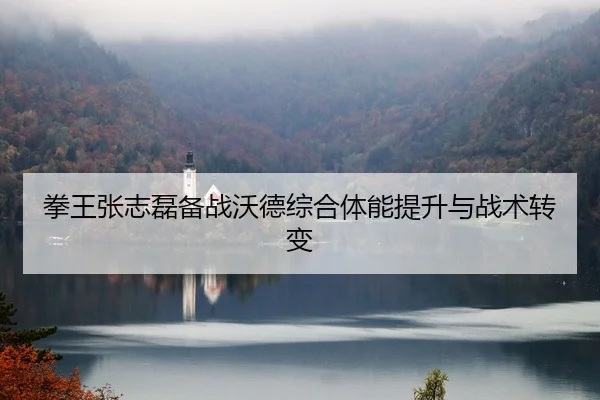 quan-wang-zhang-zhi-lei-bei-zhan-wo-de-zong-he-ti-neng-ti-sheng-yu-zhan-shu-zhuan-bian-1-177.jpg