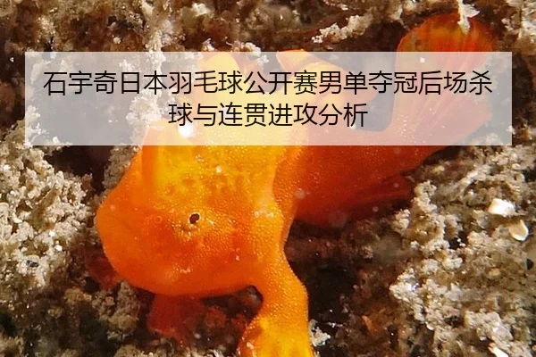 shi-yu-qi-ri-ben-yu-mao-qiu-gong-kai-sai-nan-dan-duo-guan-hou-chang-sha-qiu-yu-lian-guan-jin-gong-fen-xi-2-129.jpg